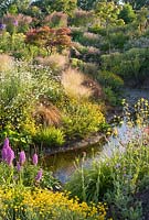 Stream through informal country garden in July with grasses and perennials including Astilbe, Hosta, Rodgersia, Filipendula, Calamagrostis x acutiflora 'Karl Foerster', Stipa tenuissima, Primula, Dactylorhiza and Tanacetum - Wildside garden