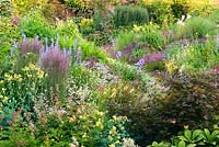 Naturalistic planting of Acer, Astilbe, Ligularia, Hosta, Rodgersia, Thalictrum, Filipendula, Lysimachia punctata, Calamagrostis x acutiflora 'Karl Foerster' and Astrantia - Wildside garden 
