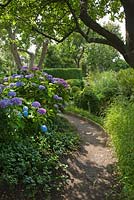 Curved path edged with ceramic tiles. Plants include Malus - Apple and Prunus cerasifera trees, Hydrangea, Buxus and Taxus balls and hedges, Acaena, Anemone and Fern - Ulla Molin 