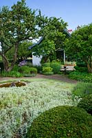 Garden with planting of Antennaria dioica, Apple and Plum trees, Buxus and Taxus topiary, Artemisia 'Silver queen', Brunnera, Lavender, Veronica spicata, Anaphalis, Vinca minor, Stachys lanata and Acaena - Ulla Molin
