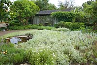 Garden with pond surrounded by planting of Antennaria dioica, Apple and Plum trees, Buxus and Taxus topiary, Artemisia 'Silver queen', Brunnera, Lavender, Veronica spicata, Anaphalis, Vinca minor, Stachys lanata and Acaena - Ulla Molin 
