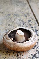 Large, flat mushroom on a wooden surface