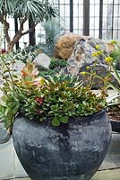 Succulents growing in large ceramic container and amongst boulders - The Silver Garden designed by Isabelle C. Green and Associates, Longwood Gardens, Pennyslvania
