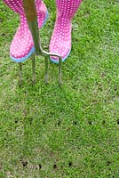 Woman aerating a lawn in spring using a garden fork.