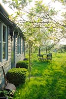 View of out buildings and wild garden in spring with cherry trees, box topiary and table and chairs - The Mill House, Little Sampford