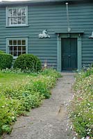 Front door of The Mill House, Little Sampford, Essex with Erigeron karvinskianus and alchemilla beside front path