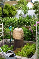 Small vegetable garden with lettuces and old straw beehive used as decoration