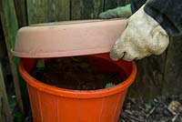 Step by Step - Creating liquid feed from Nettles