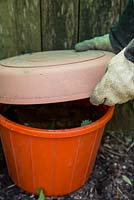 Step by Step - Creating liquid feed from Nettles