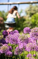 Young girl playing on swing, Allium aflatunense in foreground