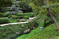 Liriope and horsetail - Japanese garden at Fort Worth Botanic Garden, Texas, USA