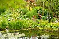 Metal heron sculture standing next to pond planted with Irises, Candelabra primula and Hostas