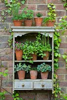 Outdoor wooden shelves with display of various succulents in terracotta pots