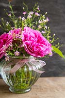 Rosa 'Gertrude Jekyll' and gypsophila