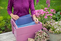 Step by Step -  Planting a container of Argyranthemum 'Percussion Rose', Bacopas 'Abunda Pink', Scopia 'Double Ballerina Pink' and Ajuga 'Burgundy Glow' - Place the plastic liner inside the wooden container, ensuring it fits inside, move it around so it isn't visible from outside the box.