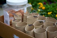 Egg shells are dried and kept to deter slugs.  Cardboard toilet roll holders are used to sew seeds
