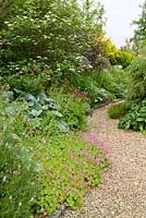 Borders with Viburnum opulus, Hosta sieboldiana, Sanguisorba 'Pink Tanna', Geranium x cantabrigiense, Iris chrysographes (seedling), Paeonia 'Kelways Brilliant', Astrantia 'Claret', Helleborus hybrid (foliage on right) at Holmes Farm, Irvine, Ayrshire