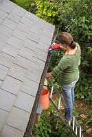 Woman clearing debris from gutters