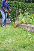 Woman using strimmer at edge of raised bed