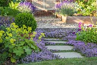 Step by step -  Thyme pathway