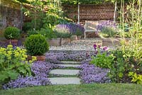 Step by step -  Thyme pathway