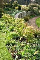 Terraces of stone and grass with rosemaries, roses and tulips including 'West Point' and 'Spring Green'. Forest Lodge, Pen Selwood, Somerset, UK