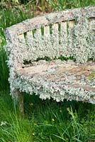 Lichen encrusted bench. Forest Lodge, Pen Selwood, Somerset, UK