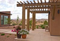 Dry mimimal garden with wooden pergola and plants Pennisetum 'Rubrum', Bougainvillea 'Juanita Hatten' and Petunia 'Tidal Wave Silver' 