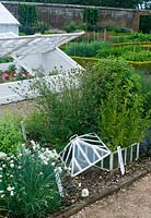 Walled garden with cold frame at West Dean 