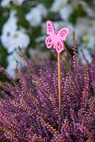 Pink butterfly inside heather