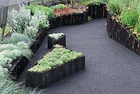 Irregular shaped raised beds planted with succulents and grasses along compressed rubber crumb path. Watch This Space. RHS Tatton Park Flower show 2013