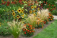 Tagetes Boy Series, Stipa tenuissima, Sunflower 'Solus Splash' and Hemerocallis 'Stafford'. Merriments Gardens, Hurst Green, East Sussex.