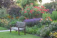 Rosa 'Tequila Sunrise', Rosa 'Fred Loads' and Salvia nemorosa in mixed bed