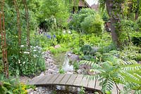 Wooden bridge over stream and planting of Salix babylonica and Rosa Veilchenblau
