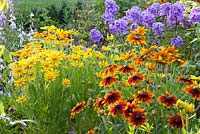 Rudbeckia hirta 'Prairie Sun', Rudbeckia 'Cherokee Sunset' and Phlox paniculata