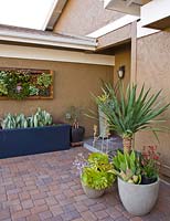 Modern terrace planted with Sanseveiria Drosanthemum, Aeonium, Crassulas, Echeveria, Graptoverias, Sempervivum, Dracaena, Ruschi, Agave, Anigozanthos and Yucca 