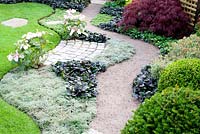 Curving gravel path with adjacent borders planted with Acer, Hydrangea macrophylla 'Dolce Kiss', Ajuga reptans 'Black Scallop' Thymus pseudolanuginosus, Pieris, Buxus sempervirens and Taxus baccata in 'Reflections of Japan'.  Gold medal winner at RHS Tatton Flower Show 2013