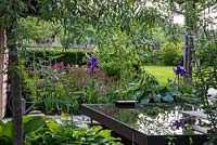 Informal planting with Astrantia, Hosta, Iris germanica, Philadelphus coronarius and Pyrus salicifolia