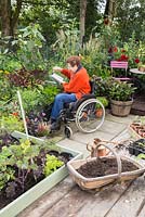 Elderly disabled woman watering a raised bed