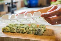 Removing frozen cubes of Basil to use in a pasta pesto dish.