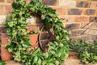 Homemade Ivy Wreath.