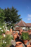 Whichford Pottery.  Hand thrown terracotta pots.  The Octagon gallery.