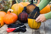 Wrapping a pair of tights around a pumpkin