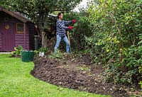 Cutting back overgrown hedge