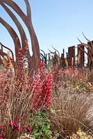 Planting includes Lupinus 'Red Plum', Berberis 'Orange Rocket', Eremurus 'Cleopatra', Dianthus cruentus and Carex testacea. 'Desolation to Regeneration'. RHS Hampton Court Flower Show 2013.