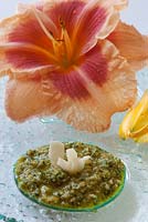 Hemerocallis pesto,  Pesto and flowers on plate,  Daylily
