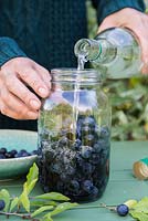 Adding gin to sloes in glass jar
