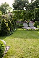 Decorative wooden loungers on lawn with Alliums, formal topiary and pleached hedging 