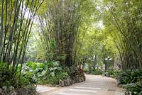 Bamboo Gardens 