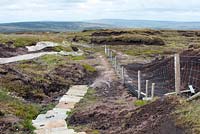 Stone path fencing and netting used to stop further erosion by re-establishing vegetation on areas where peat has become exposed on peatland habitat